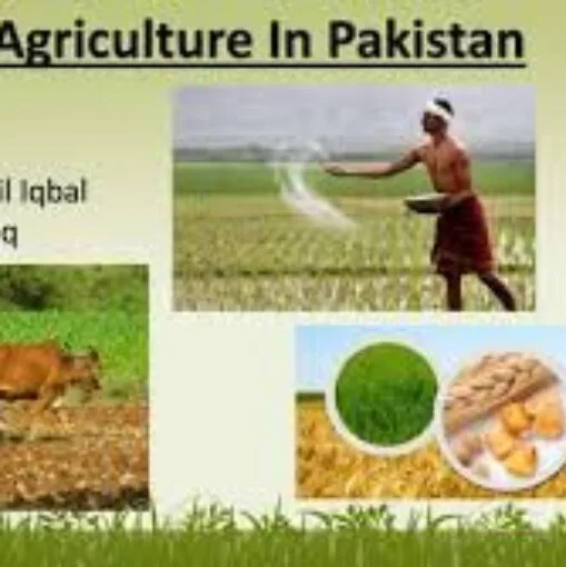 General Agriculture