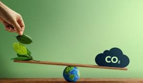 Reduce Your Carbon Footprint