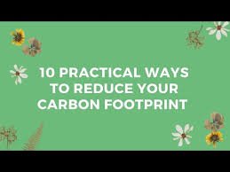 10 Easy Things You Can Do to Reduce Your Carbon Footprint: A Practical Guide to Help Make Your Lifestyle More Sustainable